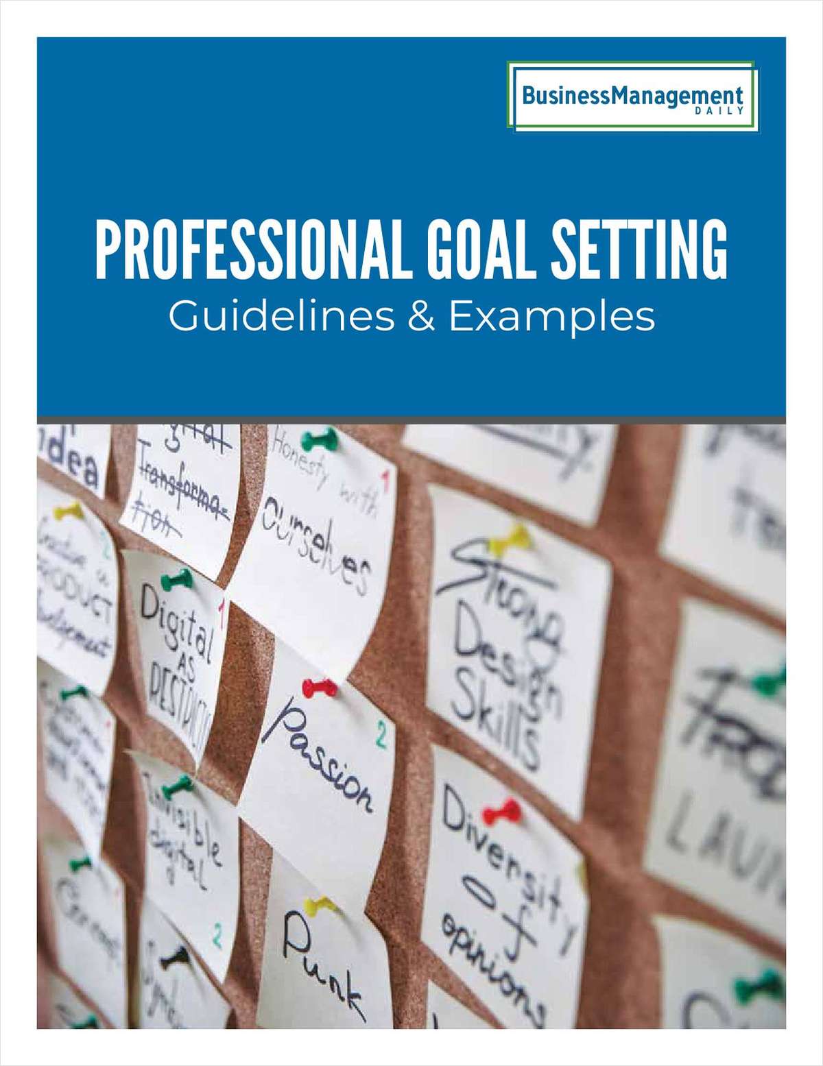 Professional Goal Setting -- Guidelines & Examples