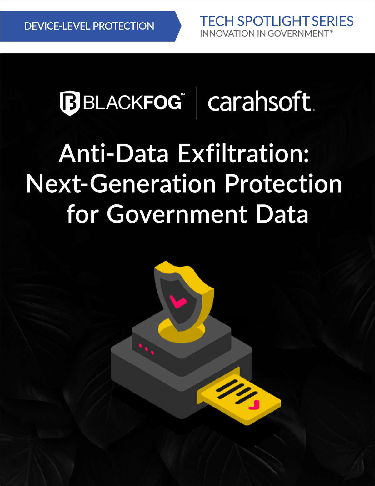 Anti Data Exfiltration: Next-Generation Protection for Government Data