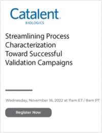 Streamlining Process Characterization Toward Successful Validation Campaigns