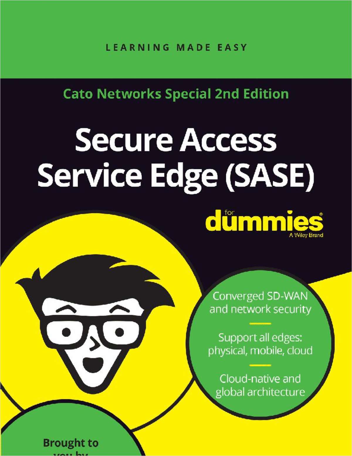 SASE for Dummies 2nd Edition
