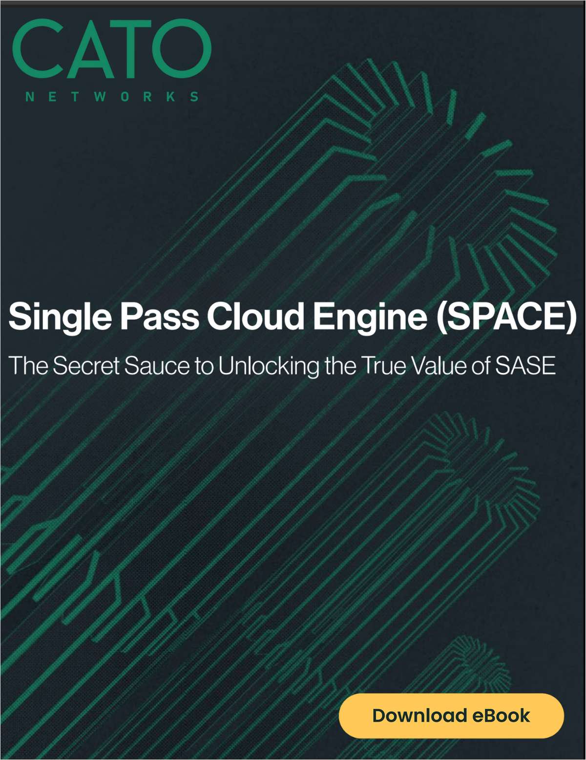 SPACE: The Key to Unlocking the True Value of SASE