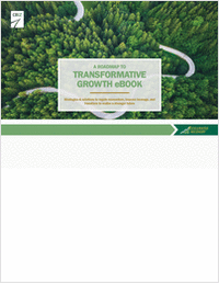 Realize a Stronger Future: A Roadmap to Transformative Growth