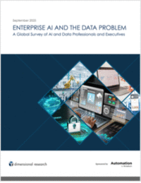 A Global Survey of AI and Data Professionals and Executives