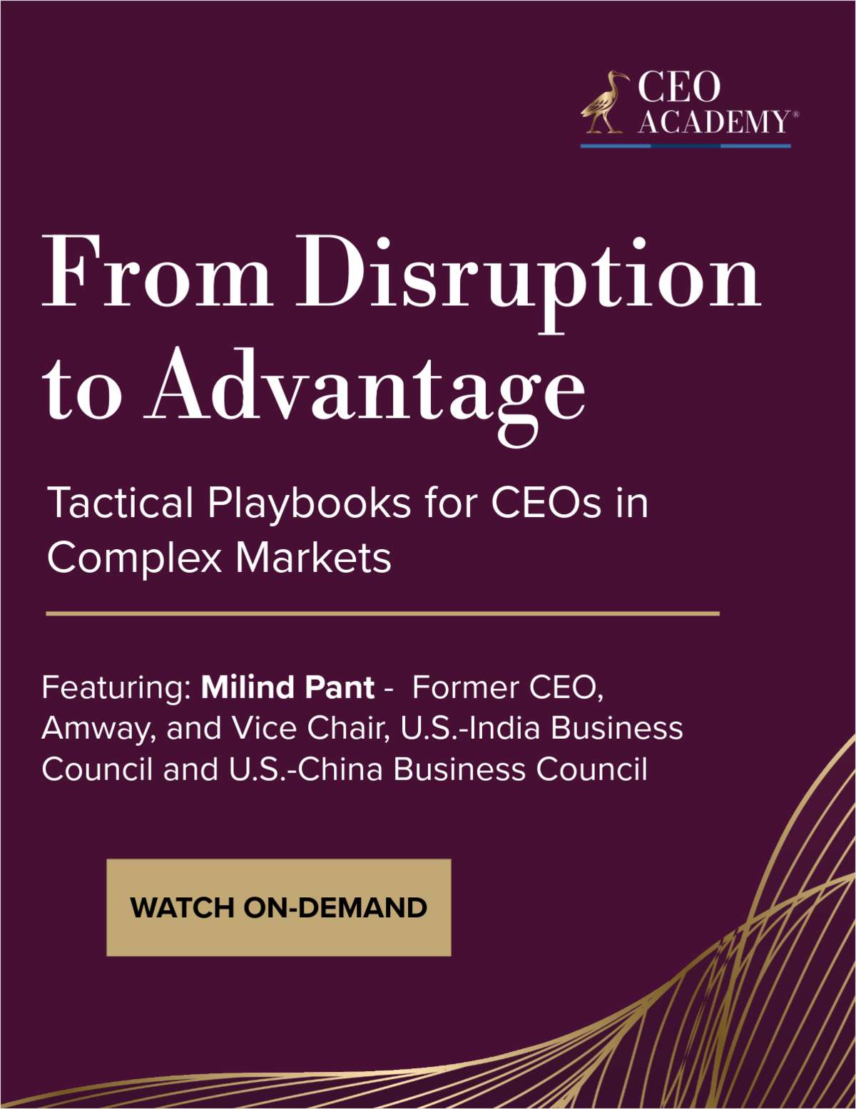 From Disruption to Advantage: Tactical Playbooks for CEOs in Complex Markets