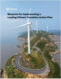 Corporate Blueprint for Implementing a Leading Climate Transition Action Plan