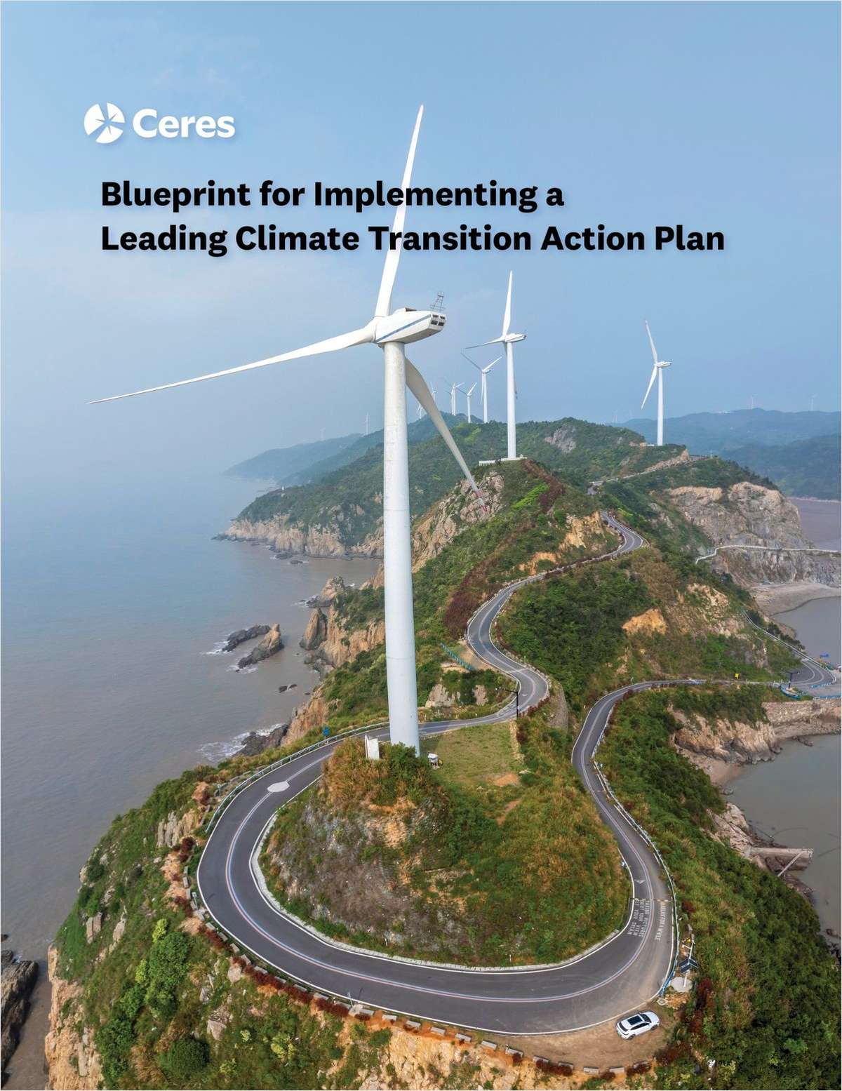 Corporate Blueprint for Implementing a Leading Climate Transition Action Plan