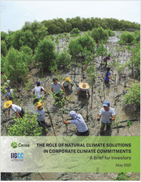 The Role of Natural Climate Solutions in Corporate Climate Commitments