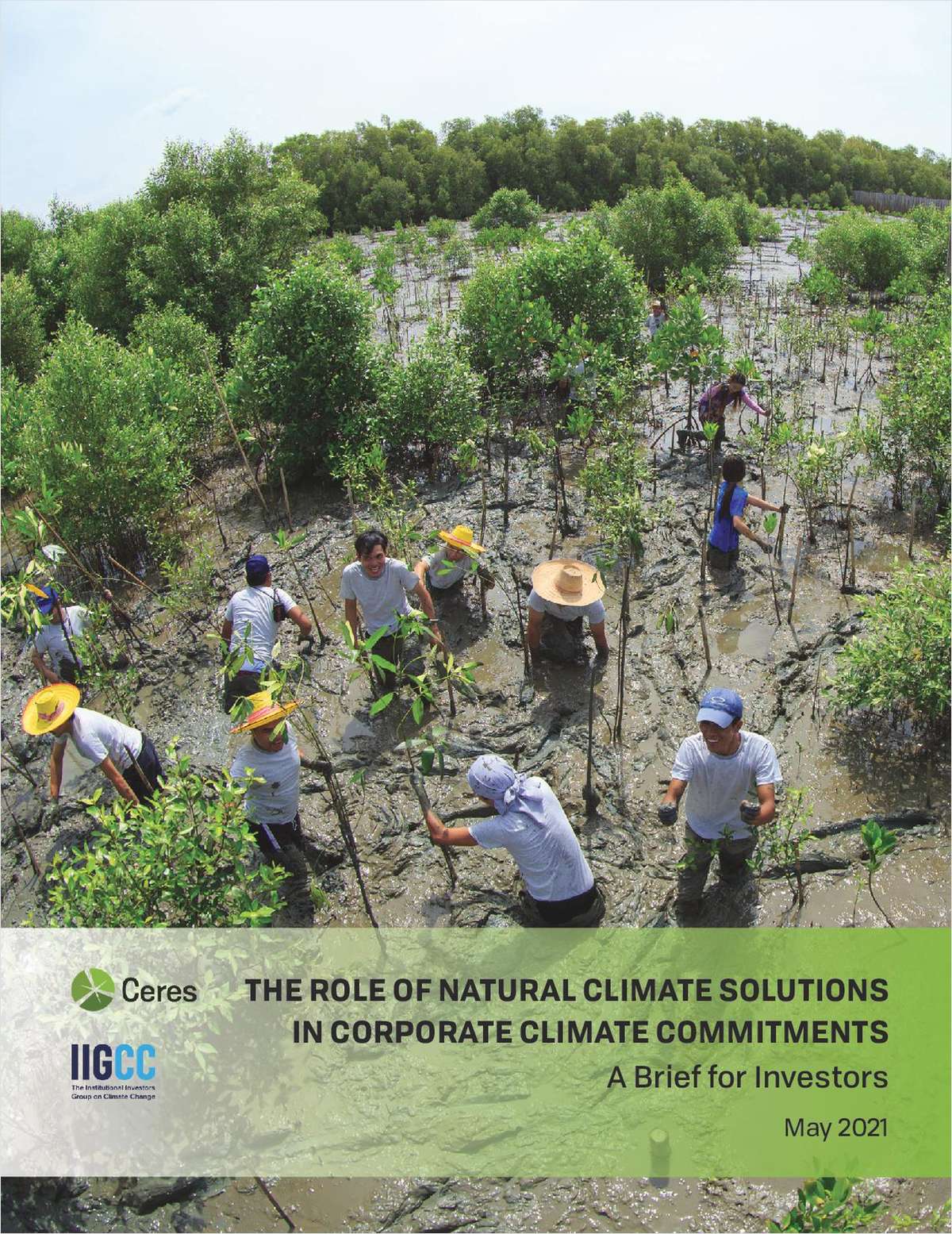 The Role of Natural Climate Solutions in Corporate Climate Commitments