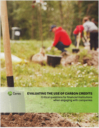 Evaluating the Use of Carbon Credits: A Guide for Investors