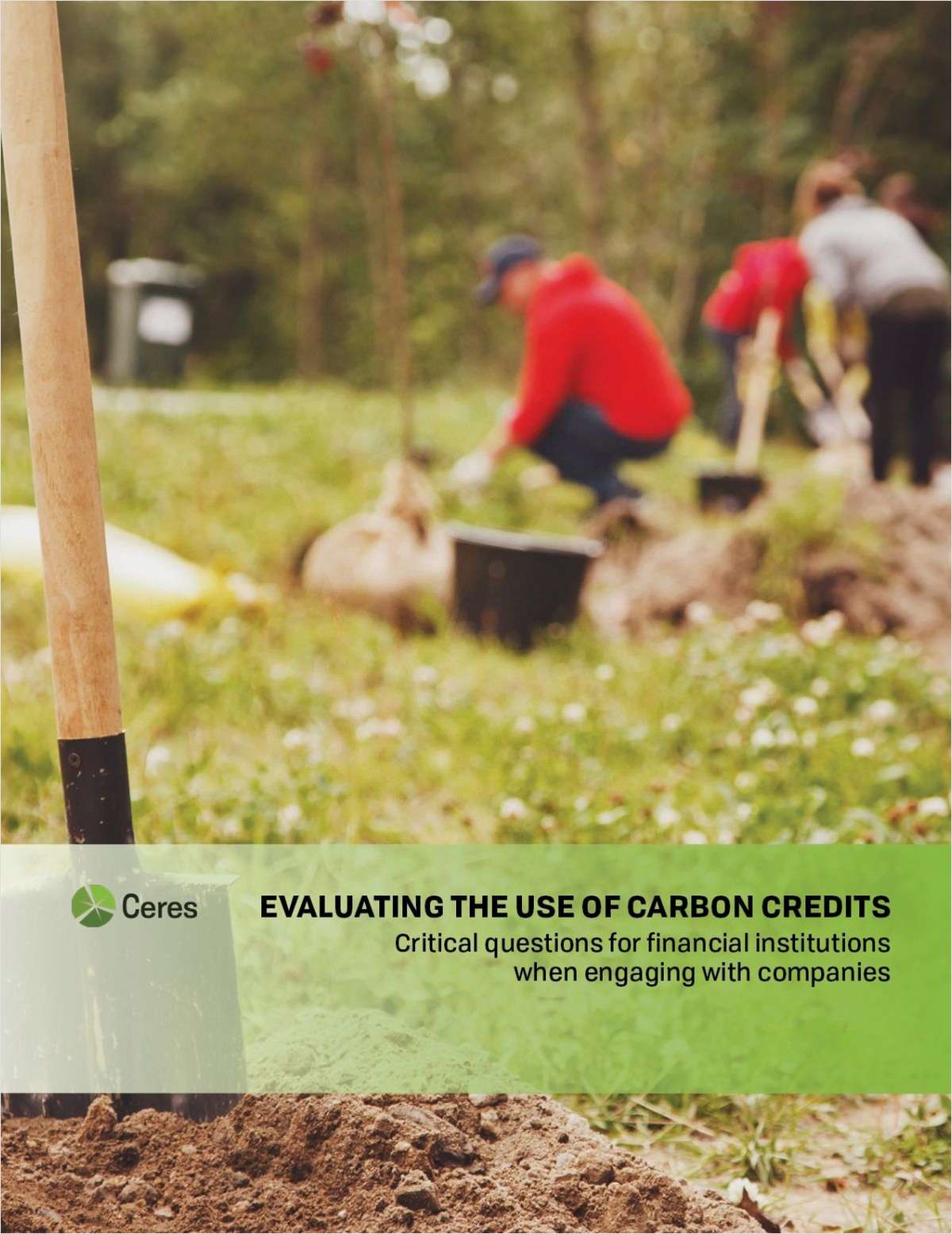 Evaluating the Use of Carbon Credits: A Guide for Investors