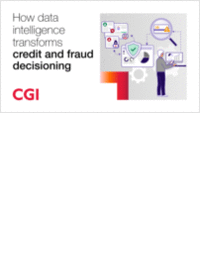 An executive's guide to intelligent credit and fraud decisioning