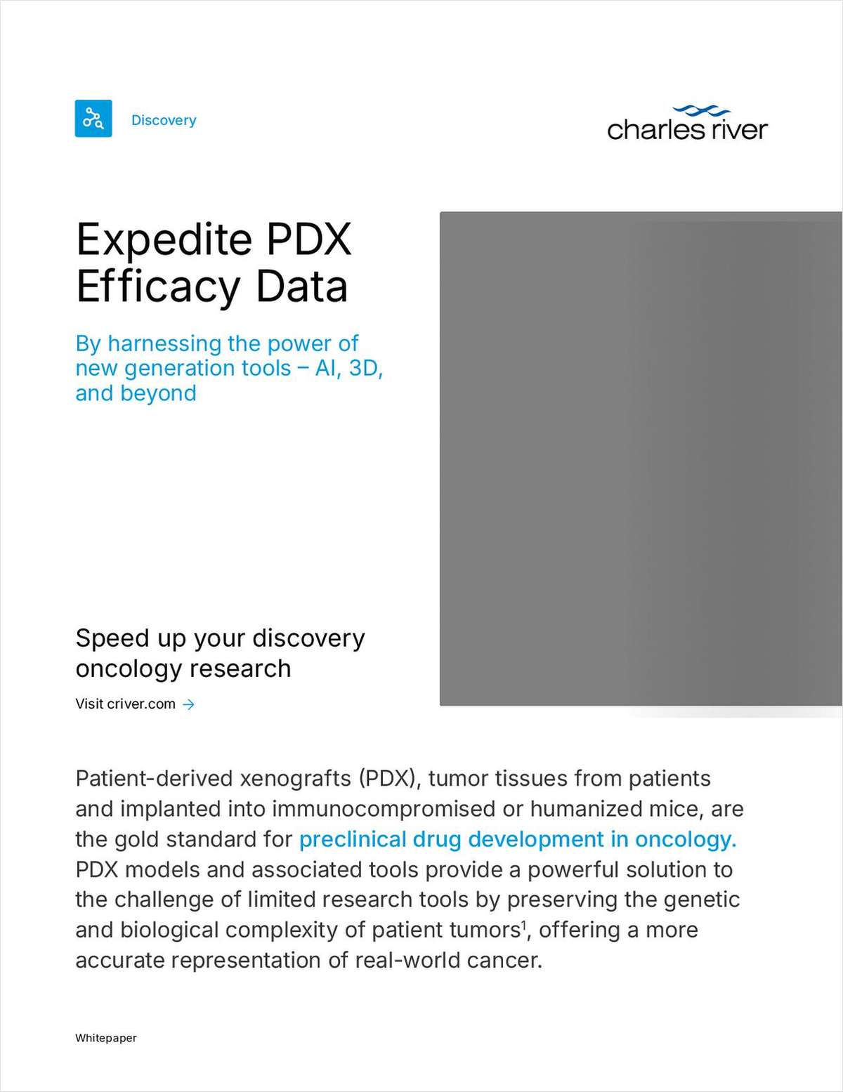 How PDX In Vitro Assays Are Accelerating Oncology Developability