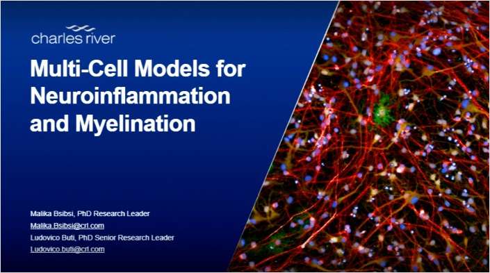 Multi-Cell Models for Neuroinflammation and Myelination