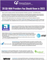 The Top 20 SD-WAN Providers to Know in 2023