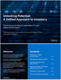 Unlocking Potential: A Unified Approach to Inventory