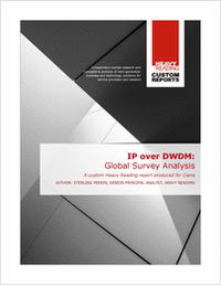 IP over DWDM: Global Survey Analysis