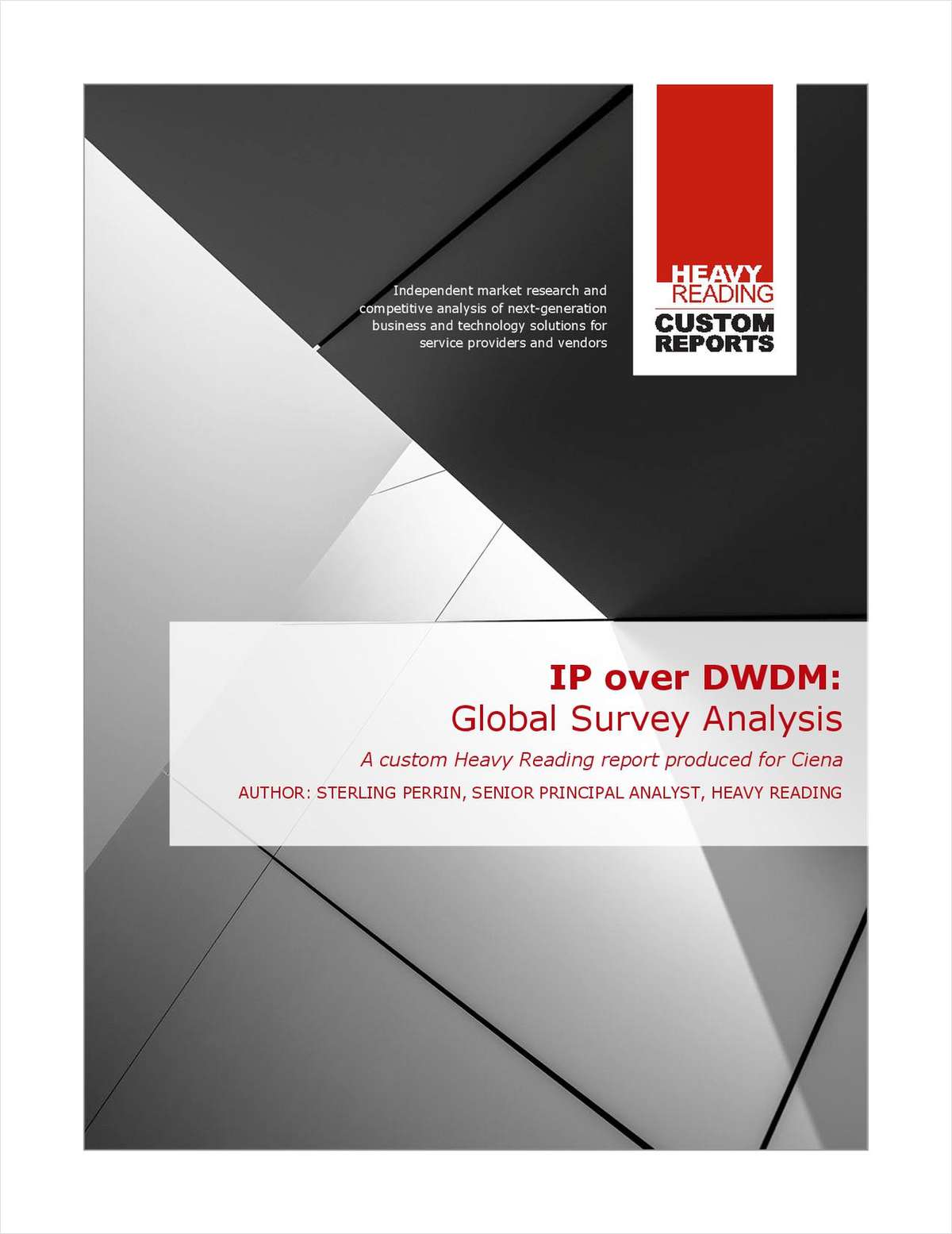 IP over DWDM: Global Survey Analysis