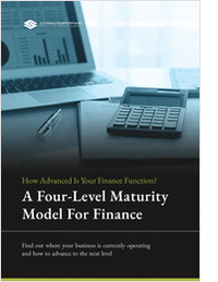 A Four-Level Maturity Model for Finance