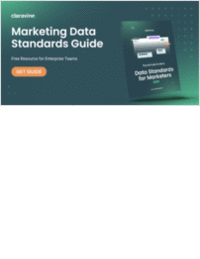 The Ultimate Guide to Data Standards for Marketers