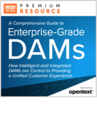 Enterprise-Grade DAMs