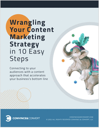 Wrangling Your Content Marketing Strategy in 10 Easy Steps