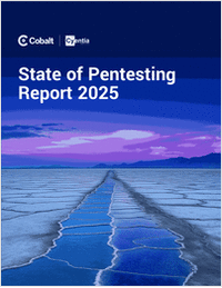 State of Pentesting Report 2025