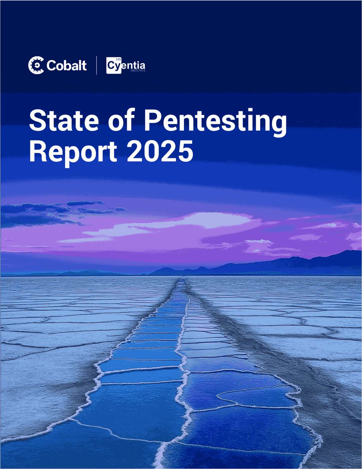 State of Pentesting Report 2025