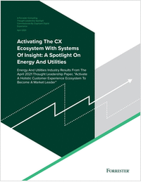 Activating The CX Ecosystem With Systems Of Insight: A Spotlight On Energy And Utilities