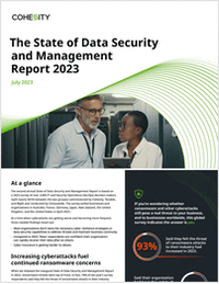 The State of Data Security and Management 2023