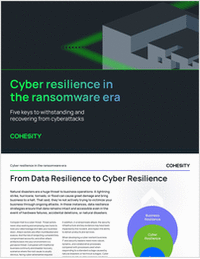 Cyber resilience in the ransomware era