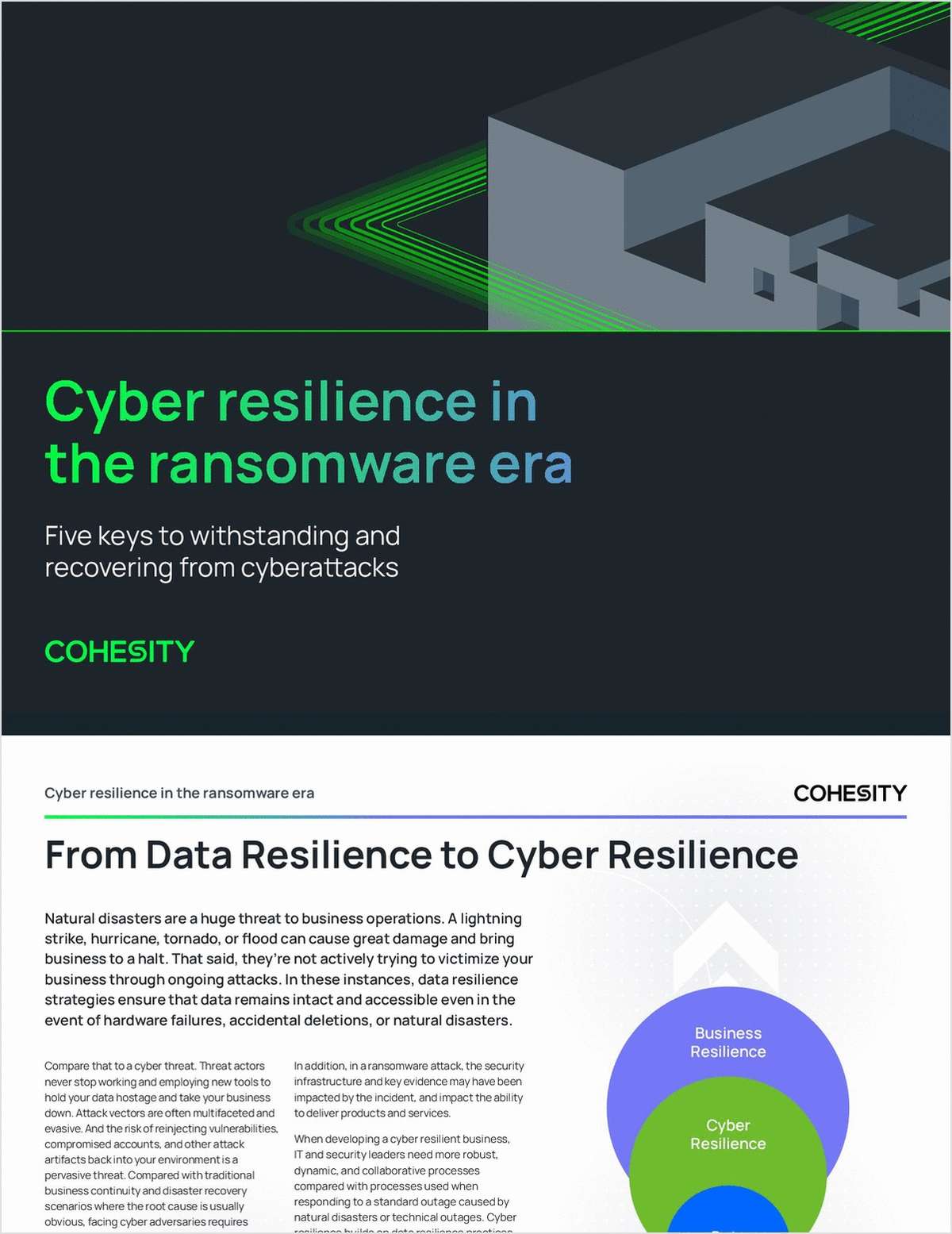 Cyber resilience in the ransomware era