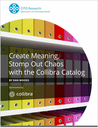 Create Meaning, Stomp Out Chaos with the Collibra Catalog