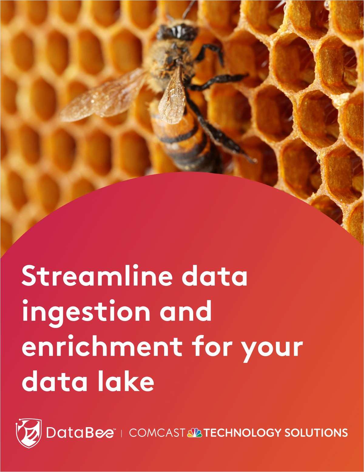 Streamline Data Ingestion And Enrichment For Your Data Lake Free On Demand Webinar