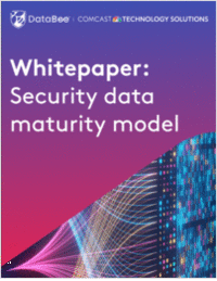 Whitepaper: Security data maturity model