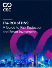 The ROI of DNS: A Guide to Risk Reduction and Smart Investment