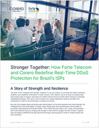 Real-Time DDoS Protection for Brazil's Small ISPs