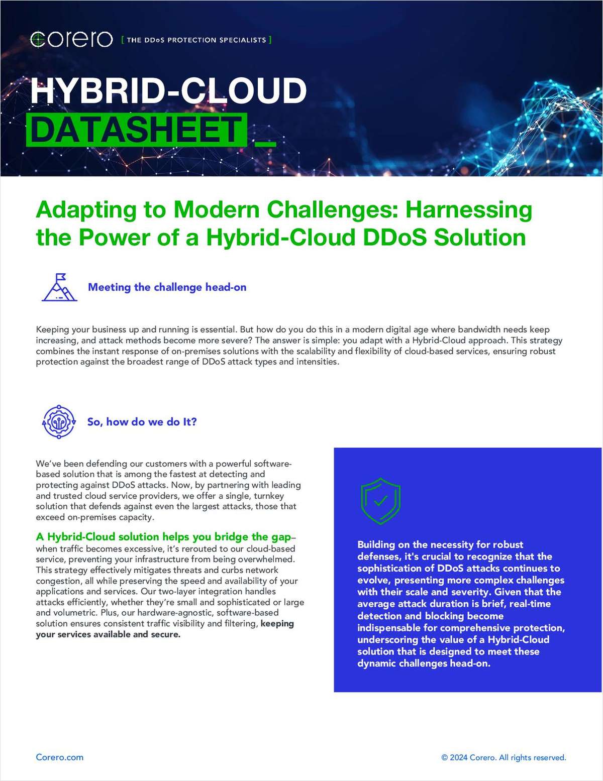 Hybrid-Cloud DDoS Protection for Evolving Threats