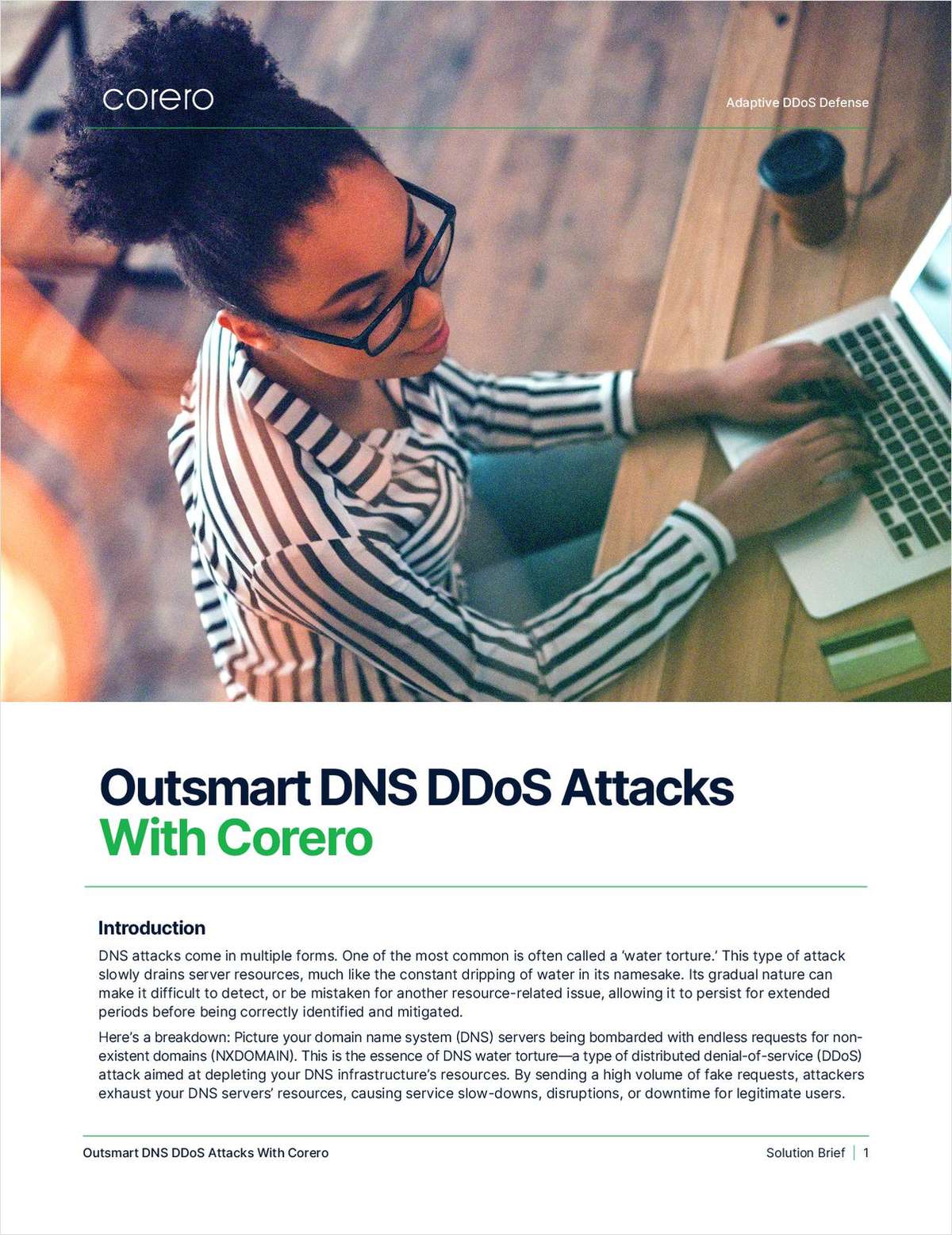 Stop DNS Water Torture Attacks with Real-Time Protection