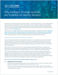 Why Intelligent Privilege Controls Are Essential for Identity Security