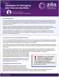 Strategies for Managing Non-Human Identities
