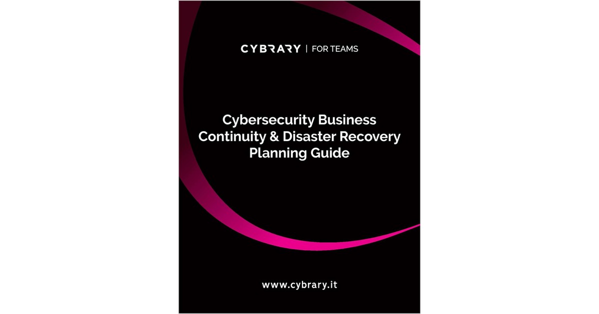 Cybersecurity Business Continuity & Disaster Recovery Planning Guide