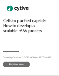 Cells to purified capsids: How to develop a scalable rAAV process