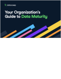 Your Organization's Guide to Data Maturity