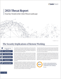 Four Key Trends in the Cyber-Threat Landscape: A 2021 Threat Report