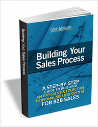 Building Your Sales Process - A Step-By-Step Guide to Building an Efficient and Effective Personal Selling System for B2B Sales