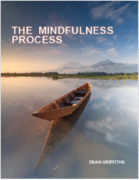 The Mindfulness Process