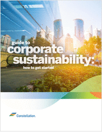 Guide to Corporate Sustainability: How to Get Started