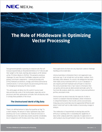 The Role of Middleware in Optimizing Vector Processing