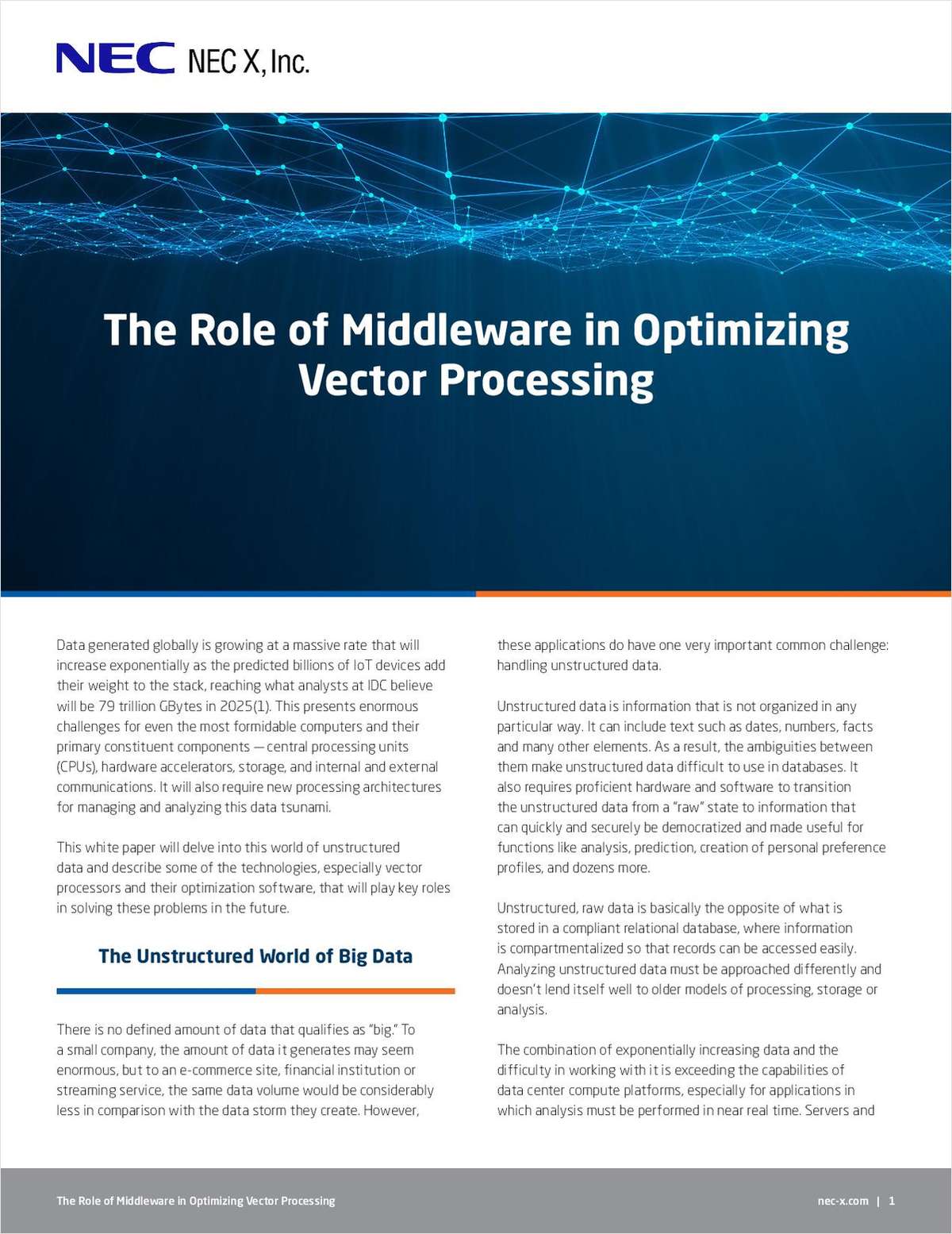 The Role of Middleware in Optimizing Vector Processing