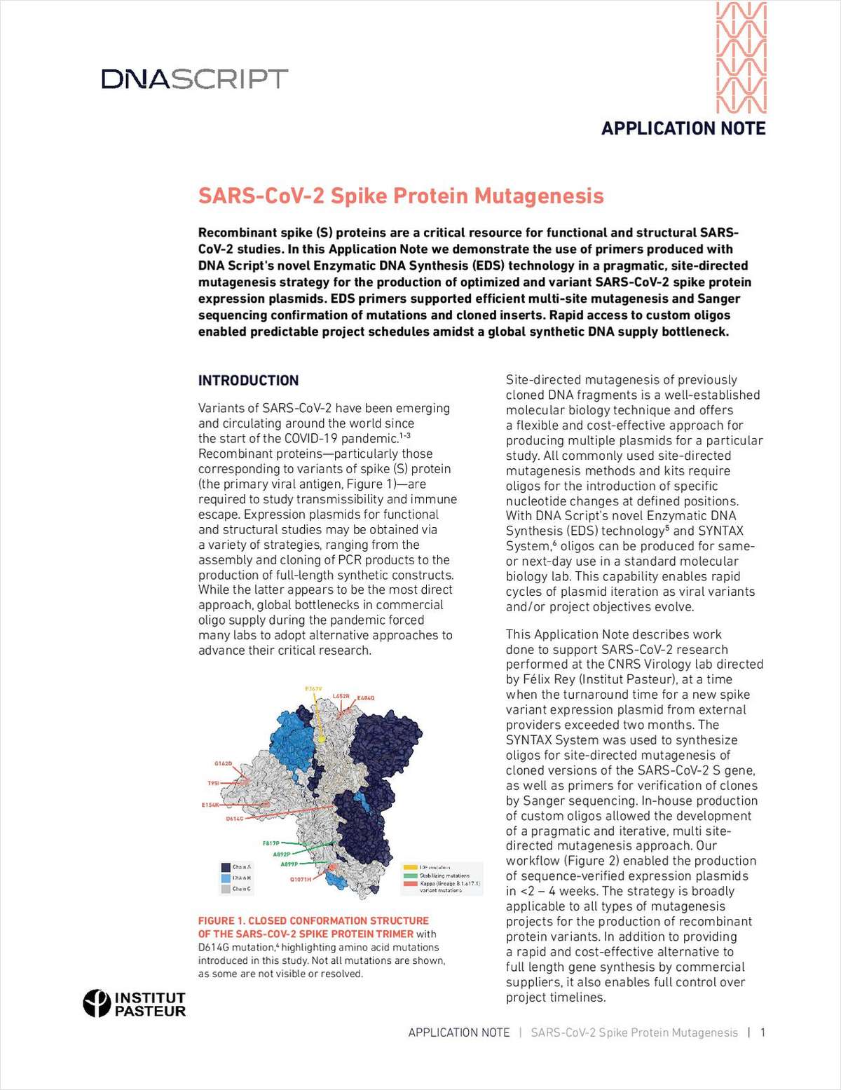 SARS-CoV-2 Spike Protein Mutagenesis